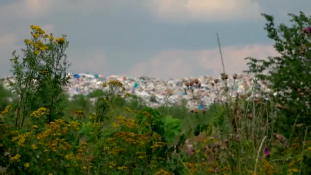 Stora Berg Sophög Och Föroreningar Stinkhög Och Giftiga Rester — Stockvideo