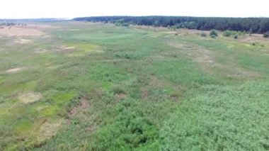 Toprak yol ve tarlaları olan bir kırsal. Hava görüntüsü. Yaz manzarası