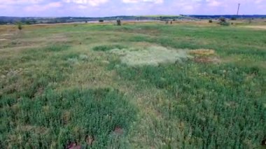 Toprak yol ve tarlaları olan bir kırsal. Hava görüntüsü. Yaz manzarası