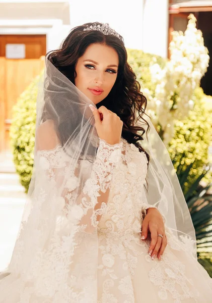 Moda Livre Foto Noiva Bonita Com Cabelo Escuro Vestido Casamento — Fotografia de Stock