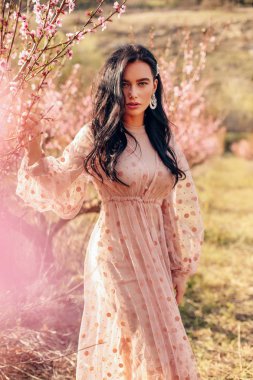 zarif elbise li koyu saçlı güzel şehvetli kadın poz