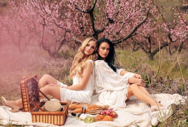 arasında romantik piknik olan zarif elbiseler güzel kızlar 