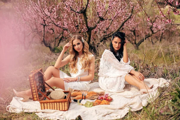 Hermosas chicas en vestidos elegantes teniendo picnic romántico entre —  Fotos de Stock