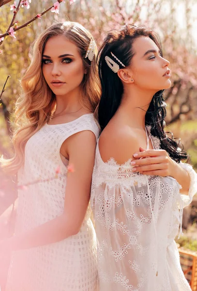 Mulheres bonitas em vestidos elegantes posando entre pêssego florido — Fotografia de Stock