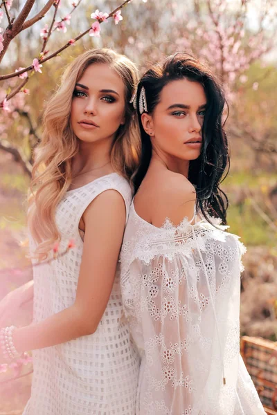 Beautiful  women in elegant dresses posing among flowering peach — Stock Photo, Image