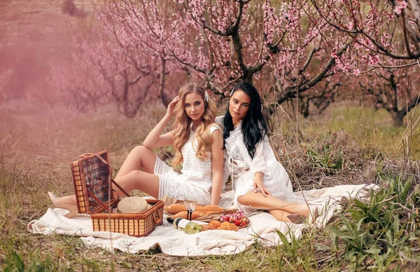 Hermosas chicas en vestidos elegantes teniendo picnic romántico entre —  Fotos de Stock