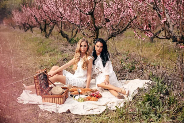 Hermosas chicas en vestidos elegantes teniendo picnic romántico entre —  Fotos de Stock