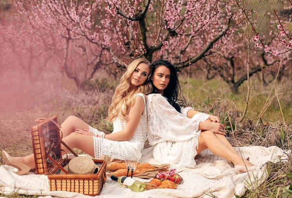 Beautiful girls in elegant dresses having romantic picnic among — Stock Photo, Image