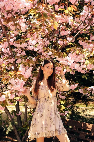 Woman with dark hair in elegant dress posing near flowering saku — Stock Photo, Image