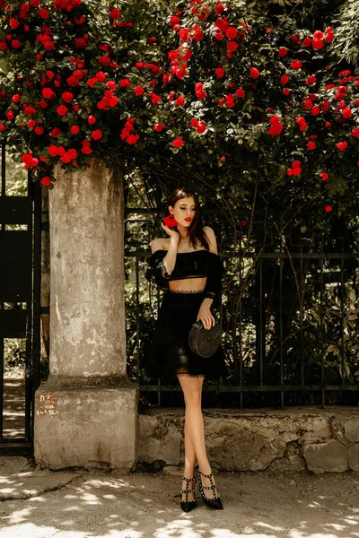 Schöne junge Frau mit dunklen Haaren in elegantem Kleid und Zugang — Stockfoto
