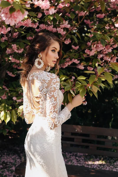 Belle donne in abiti da sposa di lusso con accessori po — Foto Stock