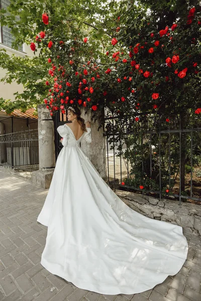 时尚的户外照片 美丽的新娘 金发碧眼 穿着华丽的婚纱 头戴华丽的婚纱 头戴华丽的玫瑰花丛 在春天的花园里摆姿势 — 图库照片