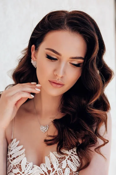 Fashion Studio Photo Beautiful Woman Dark Hair Luxurious Dress Jewelry — Stock Photo, Image