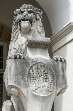 Lviv şehir antik armorial Belediye Binası, Ukrayna girişinde taşıyan ile oturan aslan taş heykel closeup
