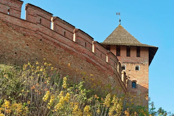 ルツク城 地元でルバルト城やアッパー城として知られている ルツク ウクライナの最も著名なランドマーク — ストック写真