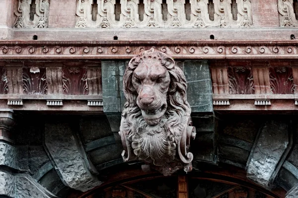 Der Löwenkopf Des Hauses Der Wissenschaftler Der Palast Des Grafen — Stockfoto