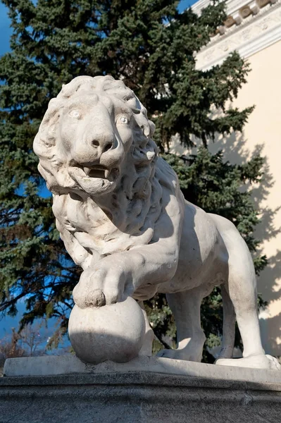 Lion Traditional Sculptures Odesa Streets Ukraine — Stock Photo, Image