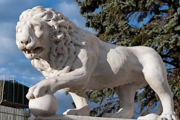 乌克兰奥德萨沃龙佐夫宫附近的狮子传统雕塑 — 图库照片