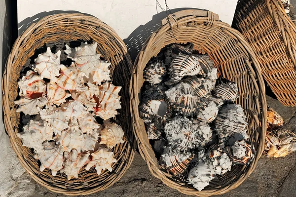 用于纪念品的装有海贝壳的篮子 希腊Mykonos — 图库照片