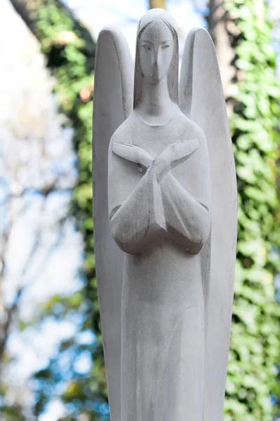 Tombe Non Identifiée Cimetière Lychakiv Museum Preserve Lviv Ukraine — Photo