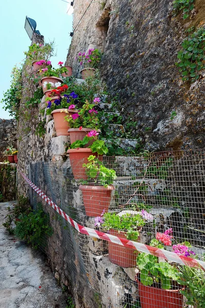 Flowerpots Decorating Steps Quaint Stone Tower Anafonitria Monastery Zakynthos Greece — Stock Photo, Image