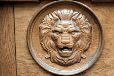 Lviv Ukrayna 'da parlayan odunların aslan başı rahatlaması