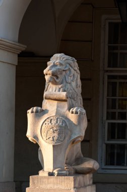Ortaçağ aslanları Lviv Ukrayna 'nın ana meydanında gün batımında