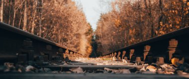 Sonbahar yaprakları demiryoluna düşer.