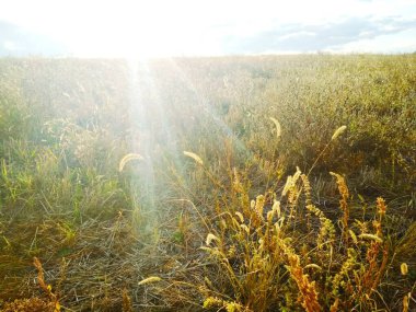Arazi güneş ışığıyla doldu