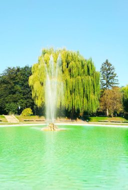 Şehir parkındaki çeşme, Kamenets-Podolsky, Ukrayna 