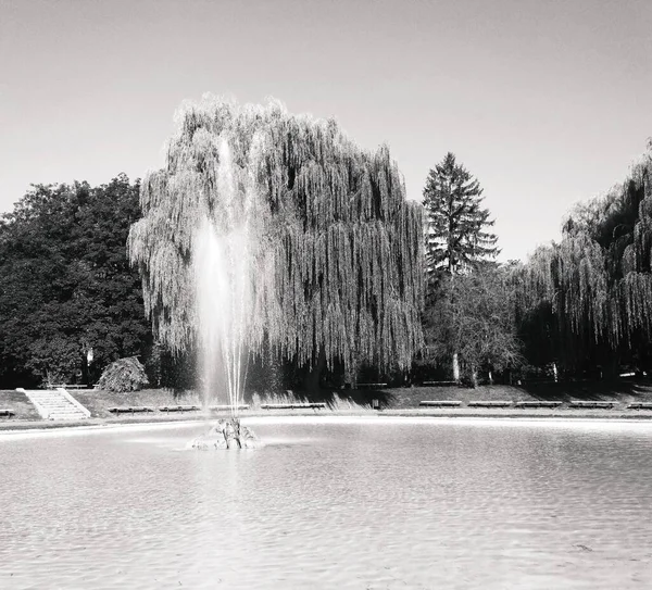 Fuente Parque Ciudad Kamenets Podolsky Ucrania —  Fotos de Stock