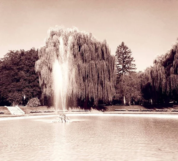 Fuente Parque Ciudad Kamenets Podolsky Ucrania —  Fotos de Stock