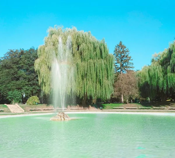 Fuente Parque Ciudad Kamenets Podolsky Ucrania —  Fotos de Stock