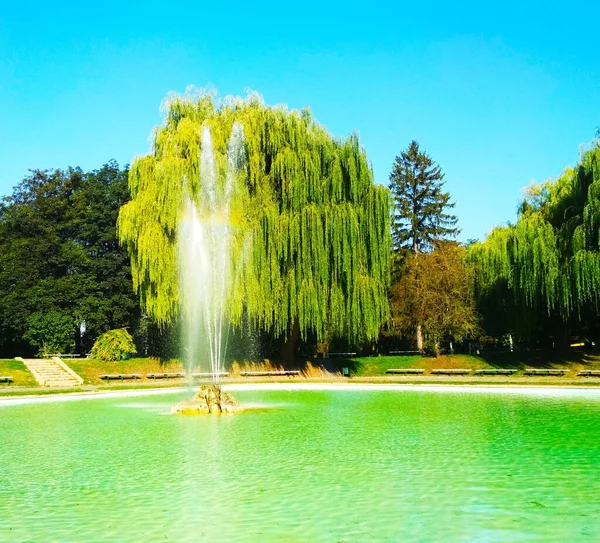 Şehir parkındaki çeşme, Kamenets-Podolsky, Ukrayna 