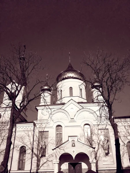 Orthodox Church Shining Domes Bright Winter Day — Stock Photo, Image