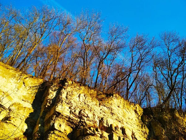 天然背景 岩石上光秃秃的冬季森林 — 图库照片