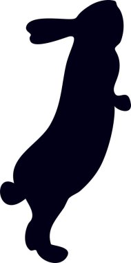 Beyaz arka planda izole edilmiş, çeşitli pozlarda oturan şirin tavşanların el çizimi siyah siluetleri. Ayrıntılı vektör Resimleri.