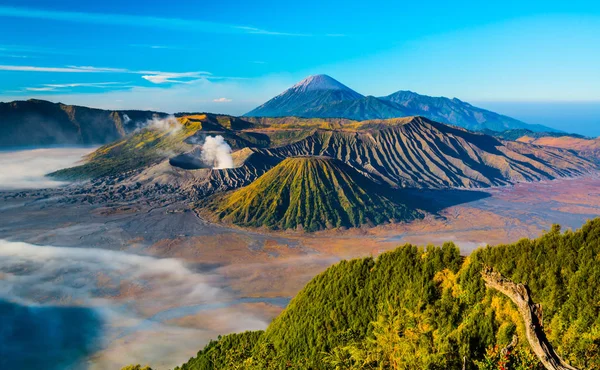 Bromo Montanha Com Nevoeiro Neblina Torno Montanha Bromo — Fotografia de Stock