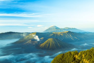 Mount Bromo gündoğumu sırasında sis ile