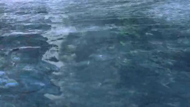 プール内の水の流れ波紋 — ストック動画