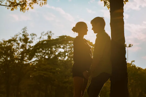 Silueta Pareja Besándose Parque —  Fotos de Stock