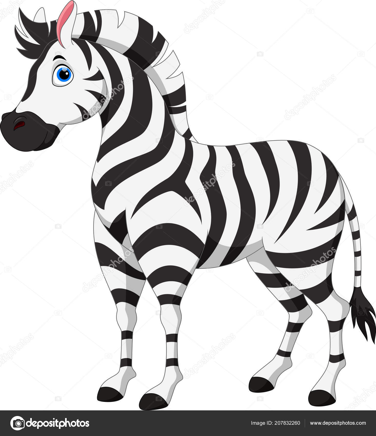 Cute Zebra Cartoon Isolated White Background Stock Vector Image by