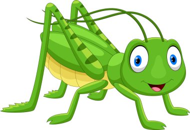 Cute grasshopper cartoon isolated on white background  clipart