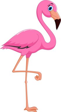 Karikatür pembe flamingo kuşu 