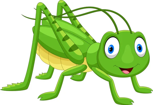 Cute Grasshopper Cartoon Isolated White Background — Stock Vector