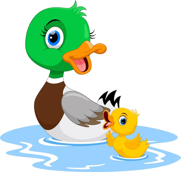 鸭妈妈和她可爱的小鸭子游泳 — 图库矢量图片