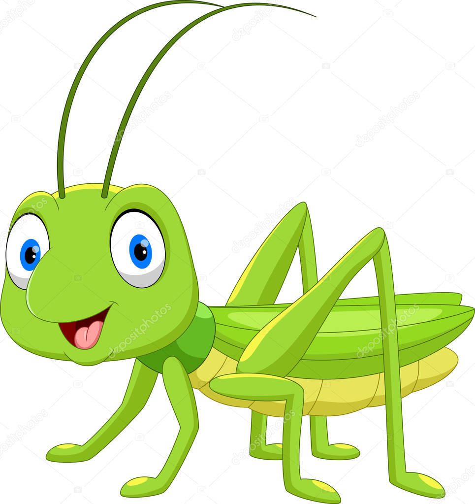 Cute grasshopper cartoon isolated on white background 