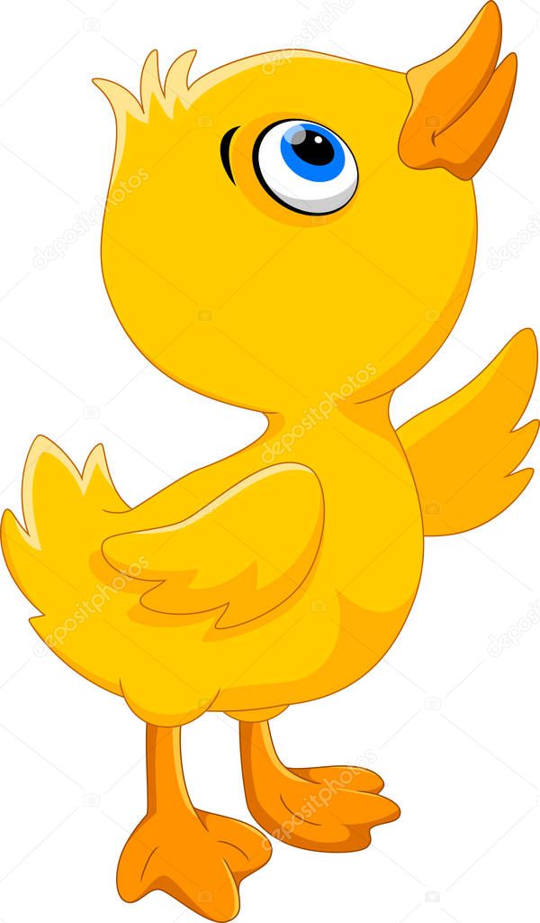 Cute duck cartoon isolated on white background