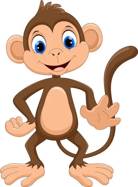 Bonito Macaco Cartoon Isolado Fundo Branco — Vetor de Stock