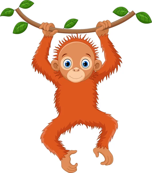 Bonita Caricatura Orangután Colgando Una Rama Árbol — Vector de stock